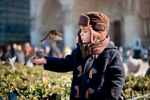 cuando-oyes-el-canto-de-un-pajaro-el-salto-de-consciencia