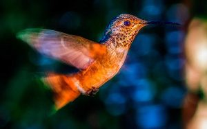 manten-un-hilo-de-vida-en-los-tiempos-en-que-tu-corazon-enmudezca-el-salto-de-consciencia1