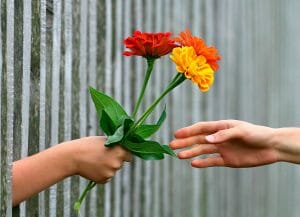 hoy-hay-un-regalo-para-ti-esperandote-en-un-jardin-el-salto-de-consciencia